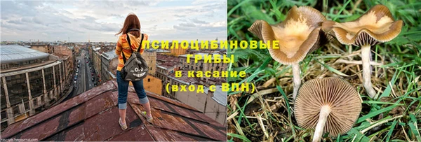 ГАЛЛЮЦИНОГЕННЫЕ ГРИБЫ Лабытнанги