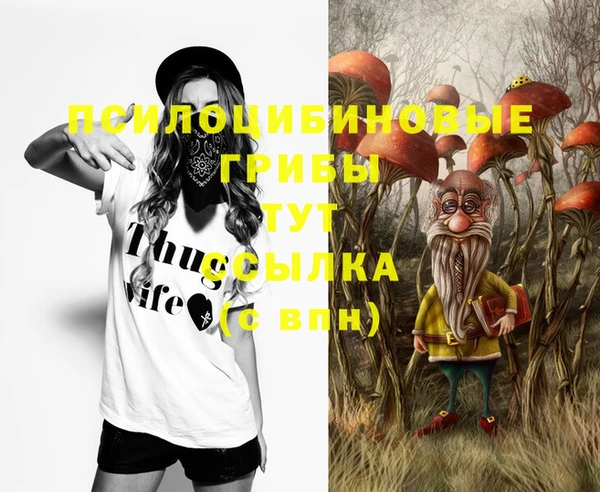 скорость Лагань