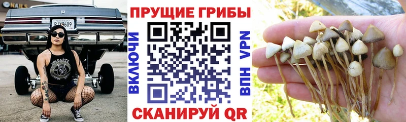 Псилоцибиновые грибы ЛСД  наркошоп  Называевск 