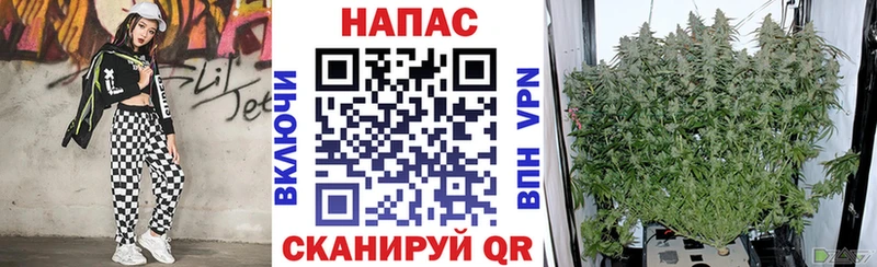 МЕГА сайт  Называевск  shop как зайти  Канабис индика 